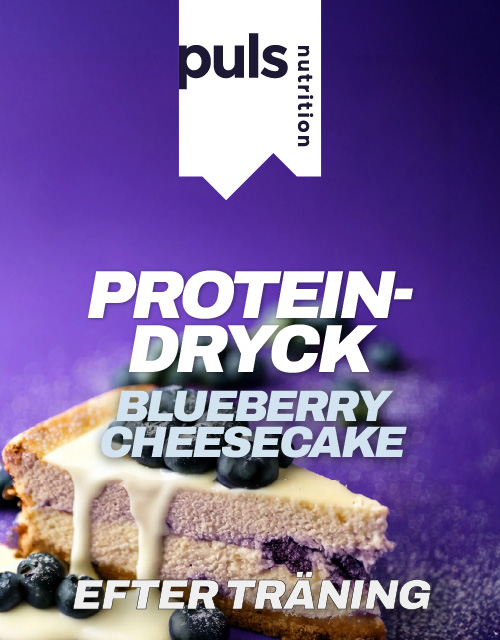 Puls Whey Blueberry cheesecake